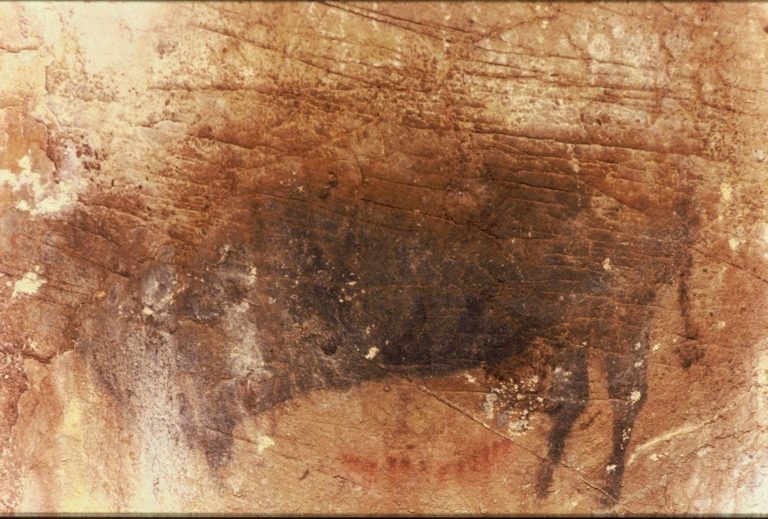 photo 1366838927 768x519