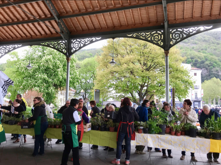 fête des plantes 768x574