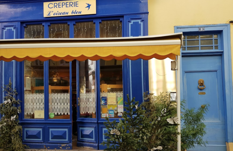 loiseau bleu 768x496